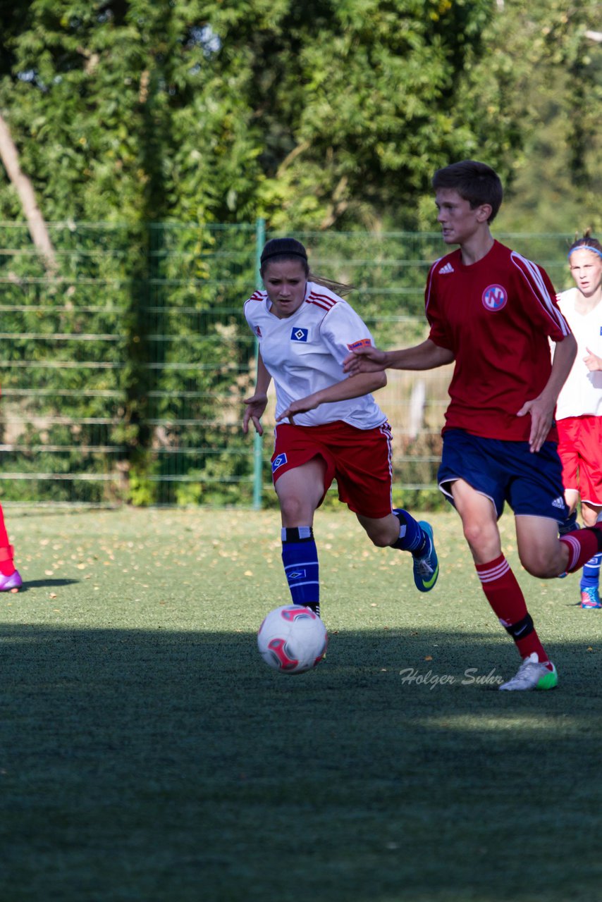 Bild 247 - Frauen HSV - cJun Eintracht Norderstedt : Ergebnis: 1:16